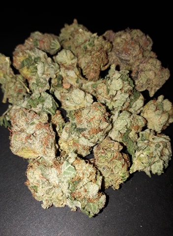 image of Indica White Rhino cannabis weed flower products-Indica cannabis weed flower products delivered in Halifax-Dartmouth Regional Municipality, NS by Medic Cannabis Dispensary based in the Halifax-Dartmouth Regional Municipality covering / delivering to all of the Halifax-Dartmouth Regional Municipality, Timberlea, Hammonds Plains, Bedford, Sackville, Spryfield, Herring Cove, Sambro, Harrietsfield, Cole Harbour, Eastern Passage & surrounding areas.