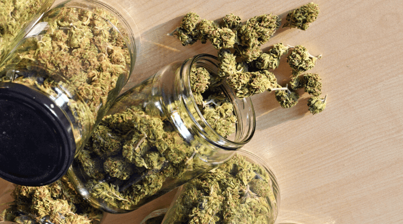 image of Medic Cannabis Dispensary's Sativa cannabis weed flower products-Sativa cannabis weed flower products delivered in Halifax-Dartmouth Regional Municipality, NS by Medic Cannabis Dispensary based in the Halifax-Dartmouth Regional Municipality covering / delivering to all of the Halifax-Dartmouth Regional Municipality, Timberlea, Hammonds Plains, Bedford, Sackville, Spryfield, Herring Cove, Sambro, Harrietsfield, Cole Harbour, Eastern Passage & surrounding areas.