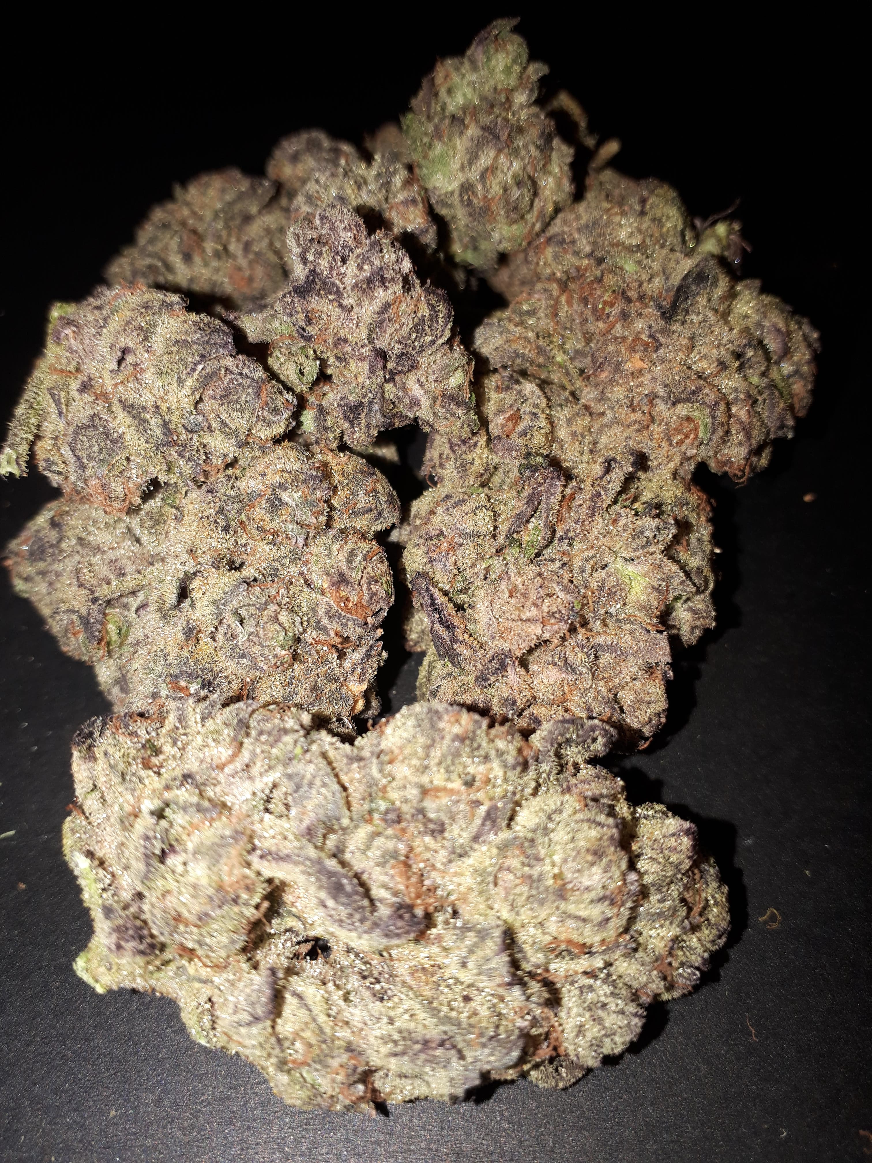 image of Medic Cannabis Dispensary's Sativa Purple Monkey Balls cannabis weed flower products-Sativa cannabis weed flower products delivered in Halifax-Dartmouth Regional Municipality, NS by Medic Cannabis Dispensary based in the Halifax-Dartmouth Regional Municipality covering / delivering to all of the Halifax-Dartmouth Regional Municipality, Timberlea, Hammonds Plains, Bedford, Sackville, Spryfield, Herring Cove, Sambro, Harrietsfield, Cole Harbour, Eastern Passage & surrounding areas.