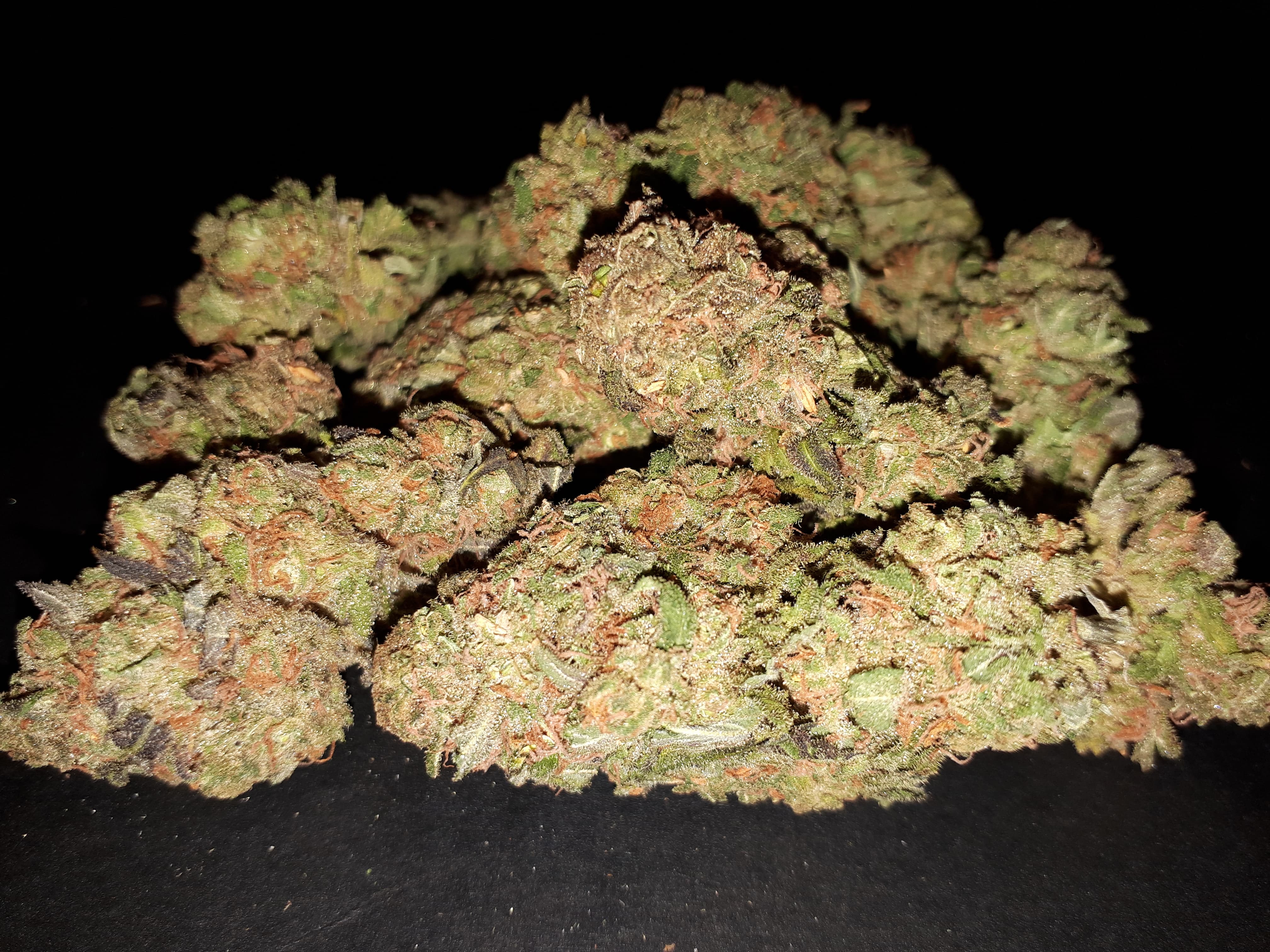 image of Medic Cannabis Dispensary's cannabis indica, hybrid & sativa-cannabis indica, hybrid & sativa weed products delivered in Halifax-Dartmouth Regional Municipality, NS by Medic Cannabis Dispensary based in the Halifax-Dartmouth Regional Municipality covering / delivering to all of the Halifax-Dartmouth Regional Municipality, Timberlea, Hammonds Plains, Bedford, Sackville, Spryfield, Herring Cove, Sambro, Harrietsfield, Cole Harbour, Eastern Passage & surrounding areas.