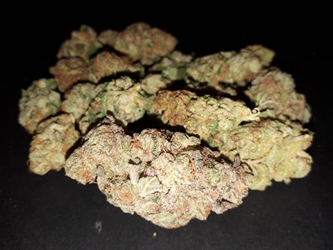 image of Medic Cannabis Dispensary's cannabis indica, hybrid & sativa-cannabis indica, hybrid & sativa weed products delivered in Halifax-Dartmouth Regional Municipality, NS by Medic Cannabis Dispensary based in the Halifax-Dartmouth Regional Municipality covering / delivering to all of the Halifax-Dartmouth Regional Municipality, Timberlea, Hammonds Plains, Bedford, Sackville, Spryfield, Herring Cove, Sambro, Harrietsfield, Cole Harbour, Eastern Passage & surrounding areas.